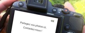 Photo Partagez ici vos photos.jpg